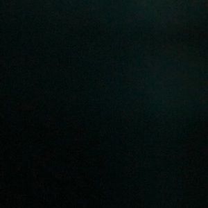 Meet your Posher, Mildred